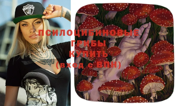 ешки Бугульма