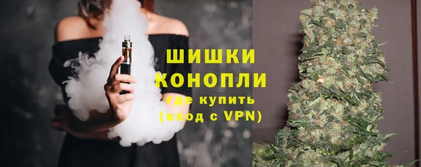 шишки Бородино