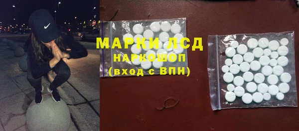 эйфоретик Баксан