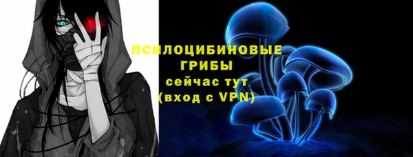 бошки Верхний Тагил
