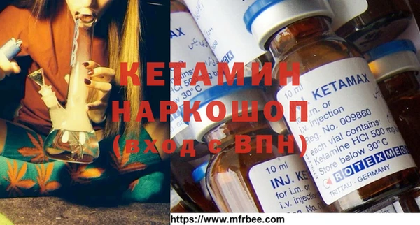 шишки Бородино