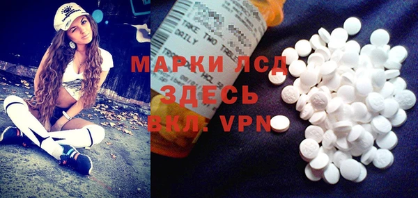 шишки Бородино