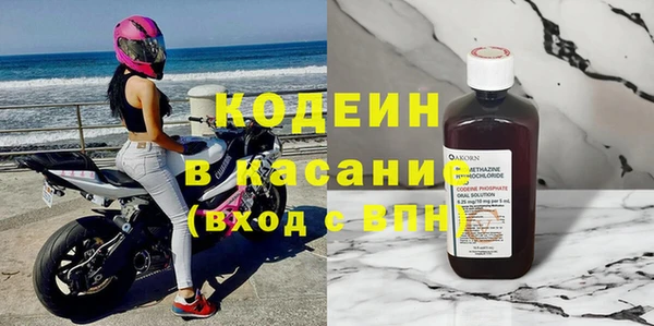 шишки Бородино