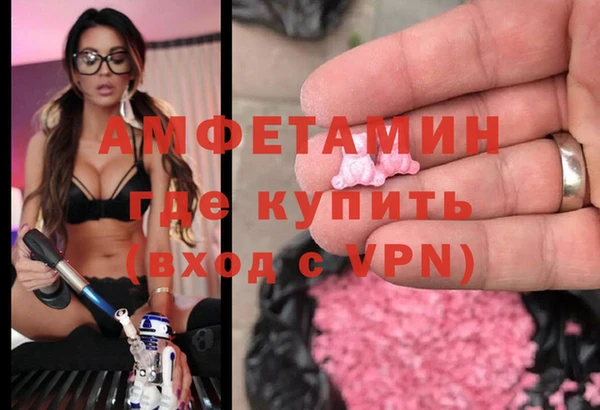 прущие грибы Балахна