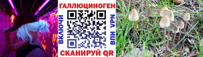 Галлюциногенные грибы мицелий закладка Чудово